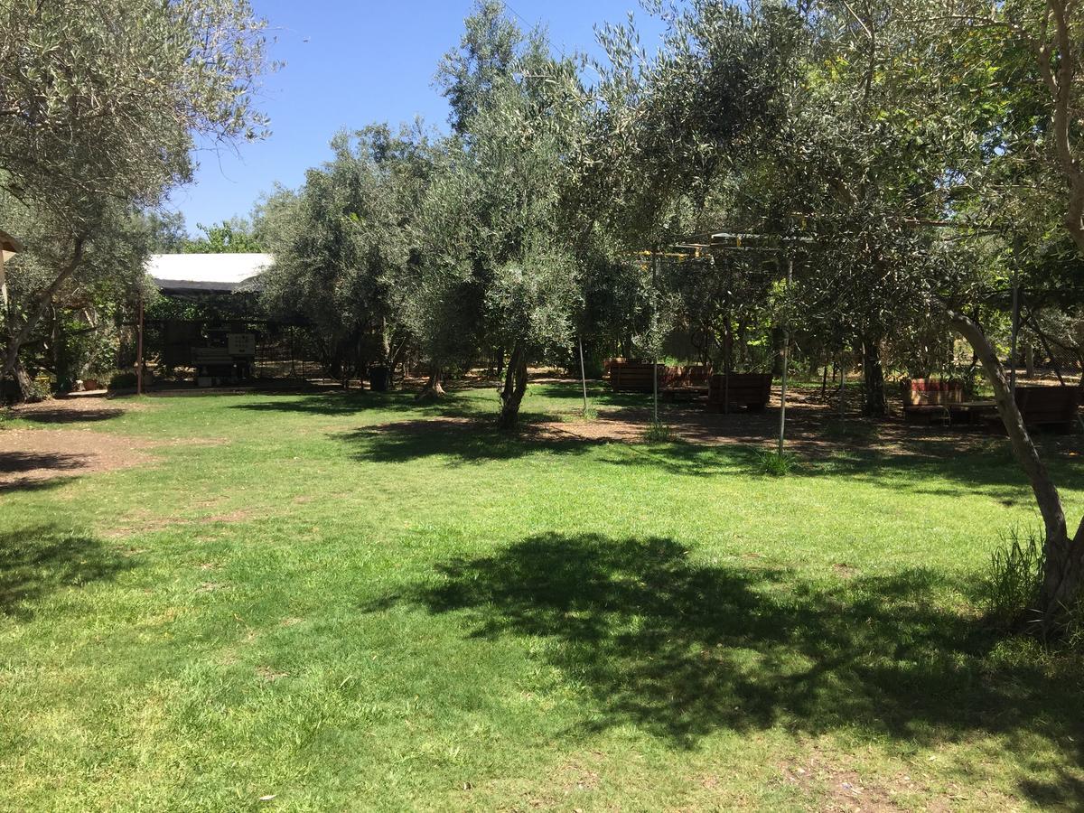 Kfar Rut和平帐篷温馨别墅 外观 照片