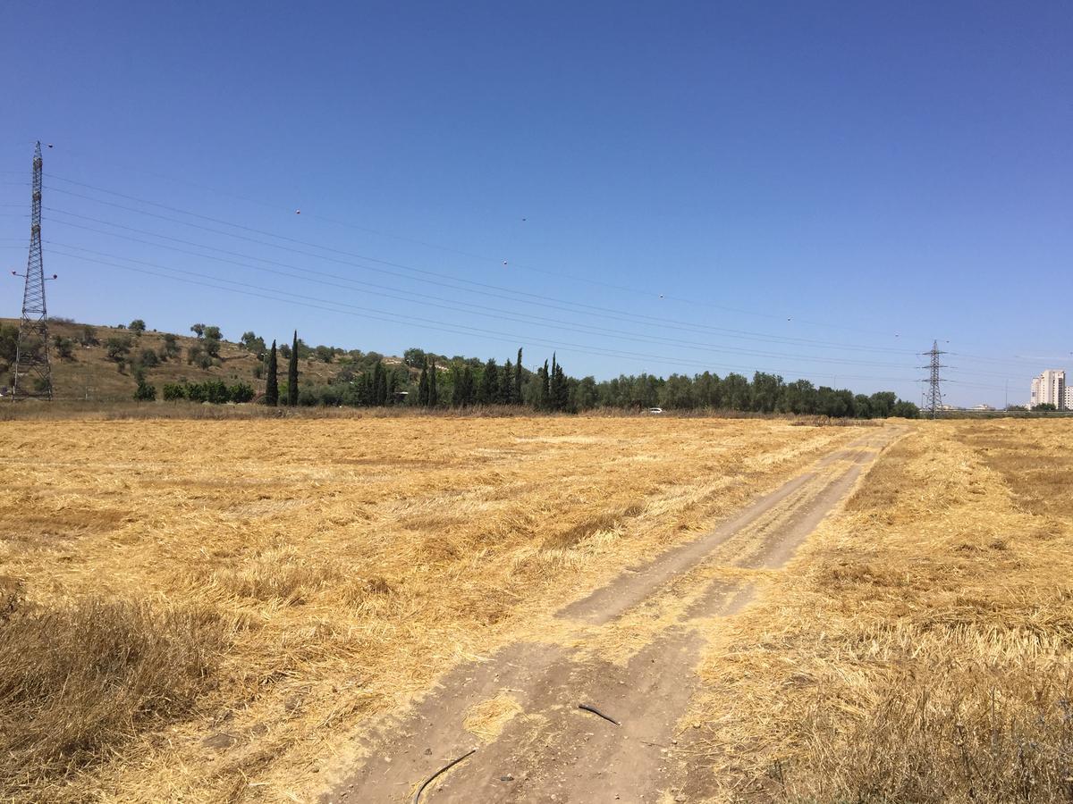 Kfar Rut和平帐篷温馨别墅 外观 照片
