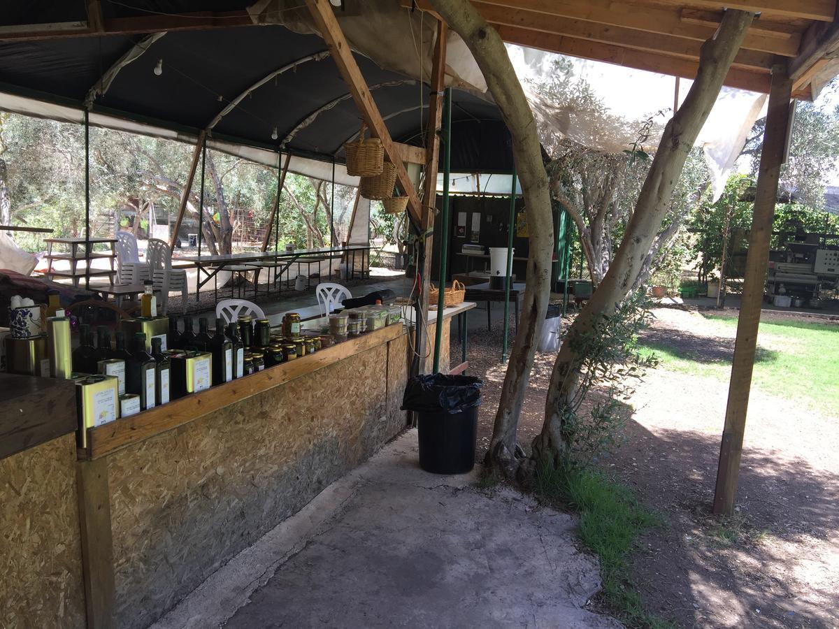 Kfar Rut和平帐篷温馨别墅 外观 照片