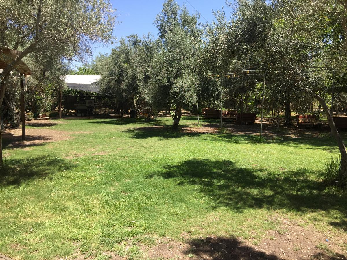 Kfar Rut和平帐篷温馨别墅 外观 照片