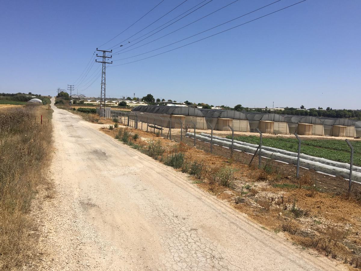 Kfar Rut和平帐篷温馨别墅 外观 照片
